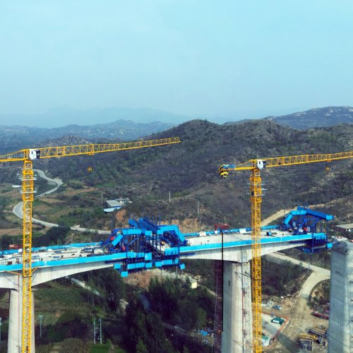 DAHAN TOWER CRANES